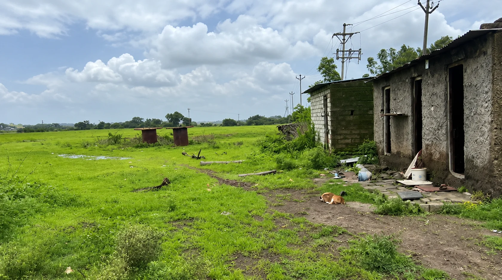 Industrial Land Solutions property image in Dhangarwadi, Pune